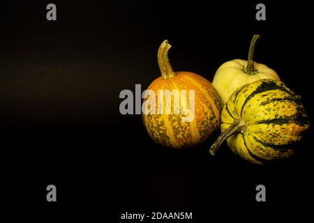 Tre zucche isolate su sfondo nero. È tempo di Halloween. Umore di Halloween. Stile di vita creativo minimo Foto Stock