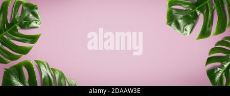 foglia verde di monstera su sfondo rosa pastello. bandiera di foglie tropicali Foto Stock