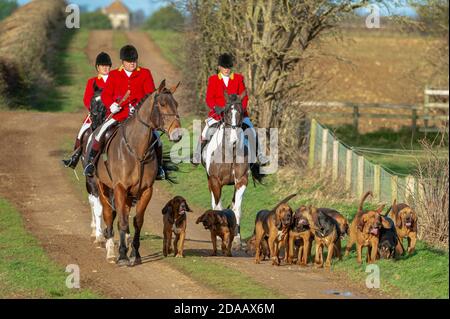 Temple Bruer, Lincolnshire, Regno Unito – il Cranwell Bloodhounds hacking all'apertura di un incontro Foto Stock