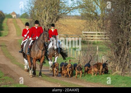 Temple Bruer, Lincolnshire, Regno Unito – il Cranwell Bloodhounds hacking all'apertura di un incontro Foto Stock