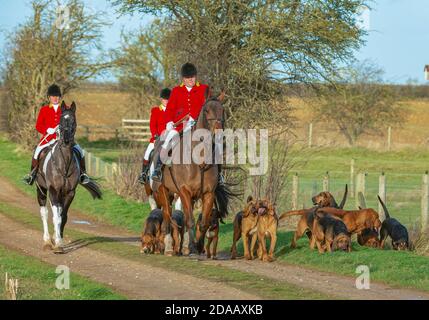 Temple Bruer, Lincolnshire, Regno Unito – il Cranwell Bloodhounds hacking all'apertura di un incontro Foto Stock