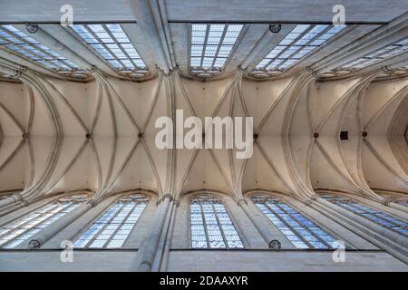 Geografia / viaggio, Germania, Sassonia-Anhalt, Magdeburgo, nella cattedrale di Magdeburgo, diritti aggiuntivi-liquidazione-Info-non-disponibile Foto Stock