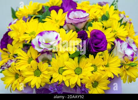 Primo piano bellissimo bouquet luminoso colorato con crisantemo giallo e. fiori di eustoma viola Foto Stock