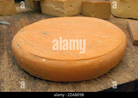 Tipico formaggio di montagna italiano della Valtellina Regione Lombardia Foto Stock
