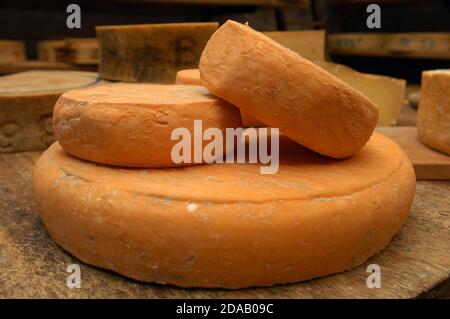 Tipico formaggio di montagna italiano della Valtellina Regione Lombardia Foto Stock