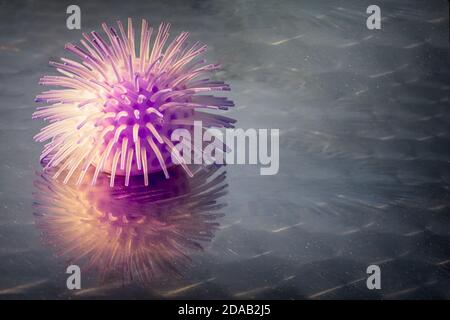 La palla giocattolo assomiglia al coronavirus su una superficie riflettente con spazio di copia. Foto Stock