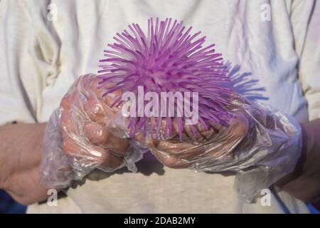 Protetto da guanti, le mani tengono una palla assomiglia a coronavirus da vicino. Foto Stock