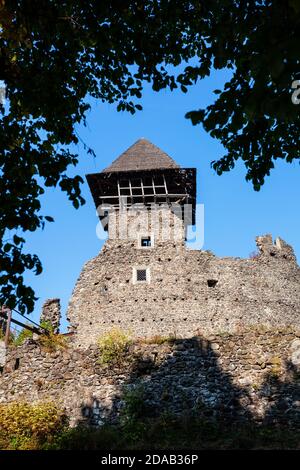 Nevitsky rovine del castello costruito nel XIII secolo. L'Ucraina. Foto Stock