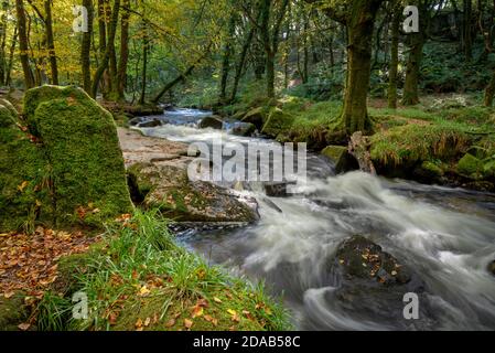 Le cascate di Golitha sono un insieme di cascate pittoresche ma dolci dove il fiume fowey corre giù dal brughiera di bob attraverso L'antico bosco di querce di Dray Foto Stock