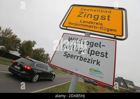 Zingst, Germania. 11 Nov 2020. "Area soggetta a restrizioni per la peste degli uccelli selvatici" è riportata su un cartello all'ingresso del villaggio. Dopo lo scoppio dell'influenza aviaria in un allevamento di pollame domestico, tutti e 92 gli animali sono stati uccisi, secondo il distretto della Pomerania occidentale-Rügen. Questo è il primo focolaio di influenza aviaria nel pollame domestico nel Meclemburgo-Pomerania occidentale quest'anno. Credit: Bernd Wüstneck/dpa-Zentralbild/dpa/Alamy Live News Foto Stock