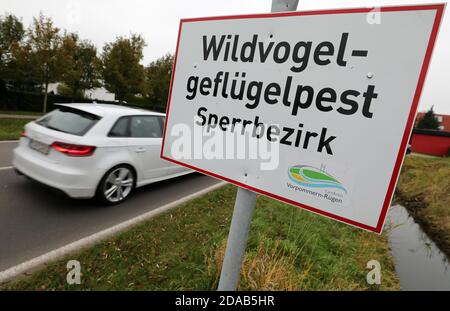 Zingst, Germania. 11 Nov 2020. "Area soggetta a restrizioni per la peste degli uccelli selvatici" è riportata su un cartello all'ingresso del villaggio. Secondo il registro dell'influenza aviaria in una popolazione di pollame domestico, tutti e 92 gli animali sono stati uccisi, secondo il distretto della Pomerania occidentale-Rügen. Questo è il primo focolaio di influenza aviaria nel pollame domestico nel Meclemburgo-Pomerania occidentale quest'anno. Credit: Bernd Wüstneck/dpa-Zentralbild/dpa/Alamy Live News Foto Stock