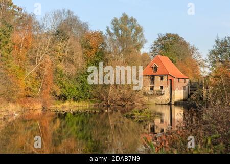 Füchtelner Mühle (Fuechteln Mill), restaurata 13 ° ct storica acqua e mulino a sega, Olfen, Nord Reno-Westfalia, Germania Foto Stock