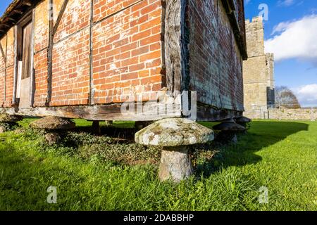 Granaio tradizionale in piedi su pietre a sella nelle rovine di Cowdray House (o Castello) una casa di Tudor a Cowdray, Midhurst, West Sussex Foto Stock