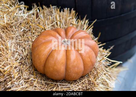Balgardekor Bandiera Da Giardino Autunnale Con Zucca - Double Face In Iuta, 30,5x45,7 Cm, Per Esterni, Halloween E Ringraziamento - 5