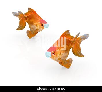 pesce dorato con maschera chirurgica isolata su illustrazione bianca in 3d Foto Stock