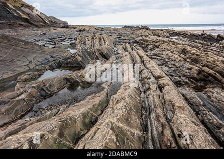 Alternando bande di arenaria e scali formano i lati ripidi e il pavimento di Crackington HavenRipples e farine rivelano questi strati di essere turbiditi. Foto Stock