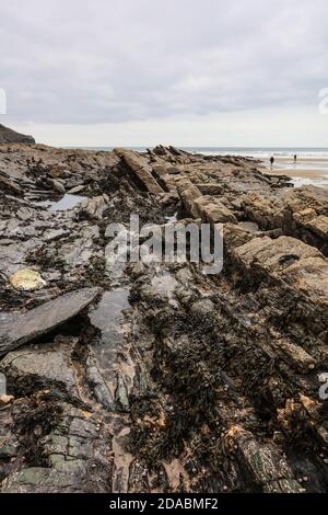 Alternando bande di arenaria e scali formano i lati ripidi e il pavimento di Crackington HavenRipples e farine rivelano questi strati di essere turbiditi. Foto Stock