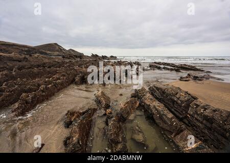 Alternando bande di arenaria e scali formano i lati ripidi e il pavimento di Crackington HavenRipples e farine rivelano questi strati di essere turbiditi. Foto Stock