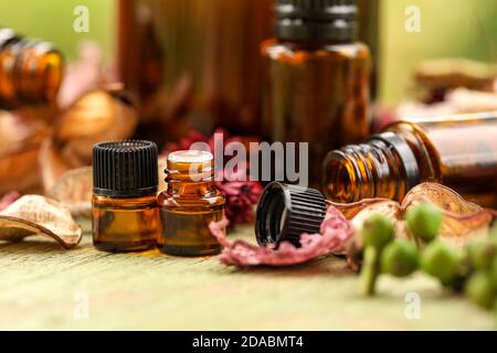 Primo piano di bottiglie d'olio essenziali circondate da fiori secchi Foto Stock