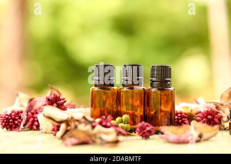 Primo piano di bottiglie d'olio essenziali circondate da fiori secchi Foto Stock