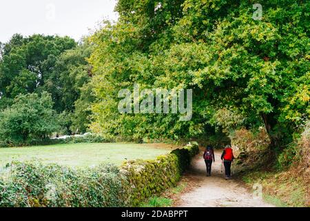 Corredoira. I corredoiras sono vecchie strade che comunicano i diversi villaggi delle terre galiziane Foto Stock