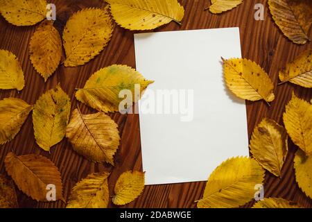 Foglie di autunno gialle e carta bianca con spazio per il testo, su sfondo di legno. Composizione di sfondo autunno. Ancora vita da foglie d'autunno. Foto Stock