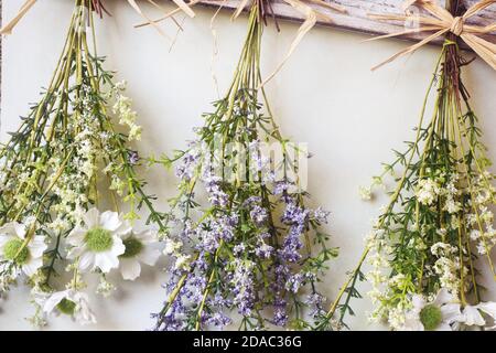 Vari bouquet luminoso di fiori secchi appesi su corda contro sfondo di legno, facendo fiori secchi decorazione moderna per interni domestici Foto Stock
