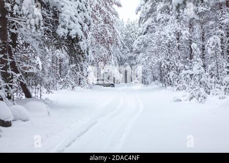 Auto passeggeri che attraversa la foresta invernale innevata su un strada coperta di neve Foto Stock