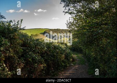 Vista sul paesaggio del Devon Foto Stock