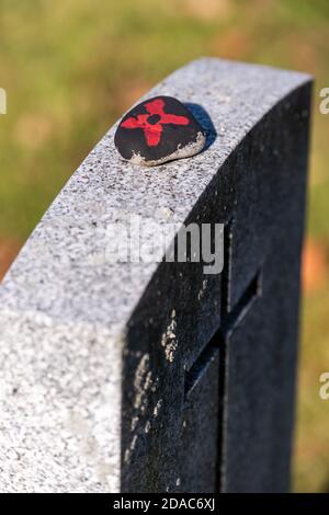 Celebrazione del giorno della memoria senza parata e partecipazione limitata al Cenotaph di Londra (11 novembre 2020) Foto Stock