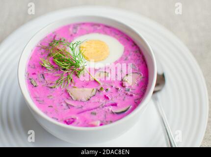 Piatto tradizionale lettone - zuppa fredda con kefir, barbabietola, cetriolo, rafano, cipolla verde, prezzemolo, aneto e metà di uovo in un recipiente bianco Foto Stock