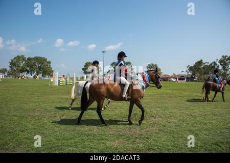 Darwin, NT, Australia-Luglio 27,2018: Parata equestre con cavalli adornati in nastri in parata nel territorio del Nord dell'Australia Foto Stock