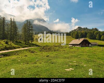 Prati verdi e boschi sull'Almo Eisenau nel Salzkammergut montagne Foto Stock