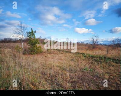 Autunno paesaggio prato con erba giallita sullo sfondo di fogliame forestale, montagne e un bel cielo tramonto. Foto Stock