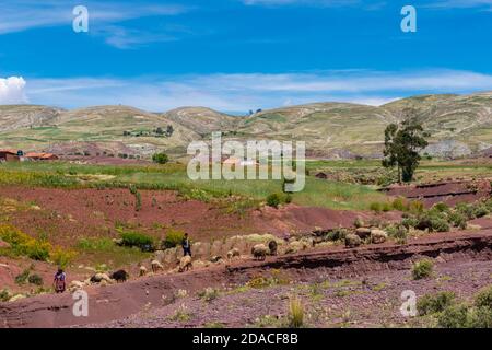 Paesaggio agricolo nella regione di Maragua, departimento Sucre, Cordillera Centrale, Ande, Bolivia, America Latina Foto Stock