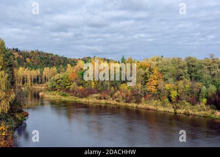 Vista panoramica del fiume Gauja a Sugulda, Lettonia durante l'autunno dorato Foto Stock