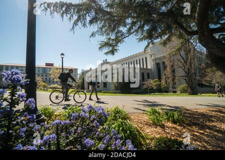 Berkeley, USA - MARZO 18 2019: Vista dell'Università della California, Berkeley in una giornata di sole Foto Stock