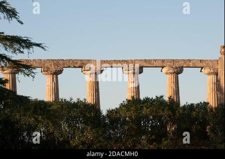 Le tavole Palatine sono i resti di un tempio peripterale dell'esastilio greco del VI secolo a.C., dedicato alla dea Hera. Foto Stock