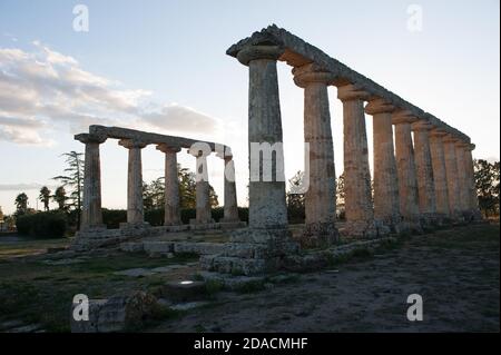 Le tavole Palatine sono i resti di un tempio peripterale dell'esastilio greco del VI secolo a.C., dedicato alla dea Hera. Foto Stock