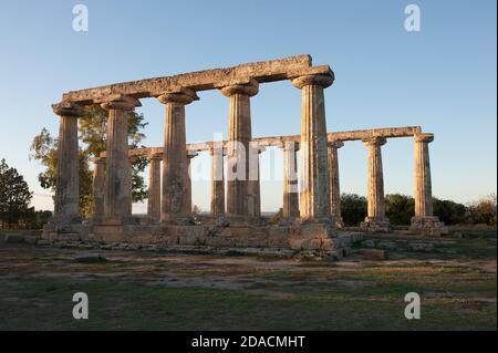 Le tavole Palatine sono i resti di un tempio peripterale dell'esastilio greco del VI secolo a.C., dedicato alla dea Hera. Foto Stock