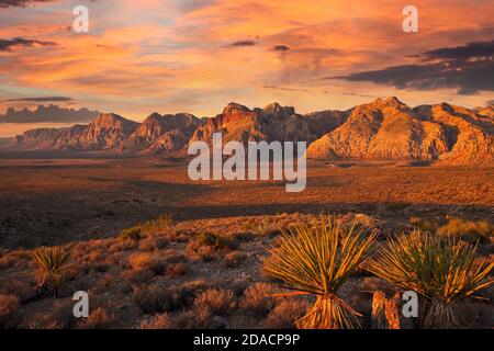 I primi raggi di luce arancione all'alba sulle scogliere della Red Rock Canyon National Conservation Area vicino a Las Vegas Nevada. Foto Stock