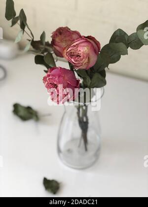 rose appassite in vaso con acqua, fuoco morbido Foto Stock