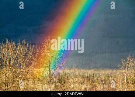 Rainbow lungo la Highway of Tears, nella Bulkley Valley, lungo la Yellowhead Highway, da Edmonton, Alberta, a Prince Rupert, British Columbia. Foto Stock