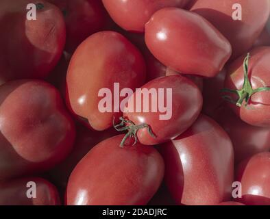 Pomodori maturi di grandi dimensioni sul vassoio del mercato dei prodotti agricoli. Foto Stock