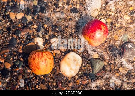 Due mele rosse con pietra di mare Foto Stock