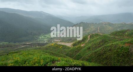 Verdi colline ondulate nella nebbia, Golden Bay, Tasman Regione, Nuova Zelanda Foto Stock