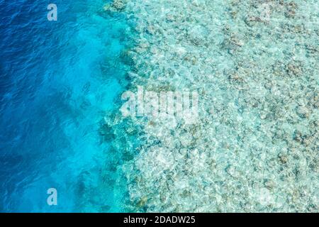 Splendida vista dall'alto della barriera corallina, della spiaggia, della laguna tropicale dell'oceano, delle acque marine poco profonde. Incredibile foto di drone aereo. Esotico motivo tropicale naturale Foto Stock