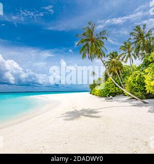 Maldive paradiso spiaggia tropicale. Vista incredibile, acque turchesi blu della laguna, palme e spiaggia di sabbia bianca. Destinazione turistica di lusso Foto Stock