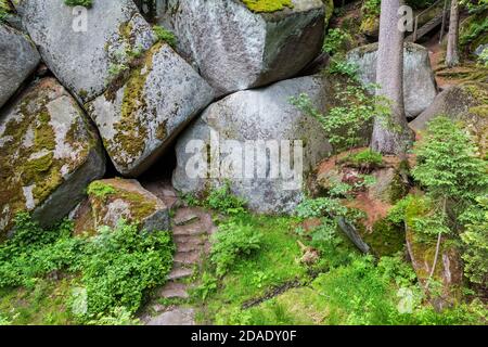 Geografia / viaggio, Germania, Baviera, vicino Wunsiedel, labirinto di roccia Luisenburg, vicino Wunsiedel, Ficht, diritti aggiuntivi-clearance-Info-non-disponibile Foto Stock