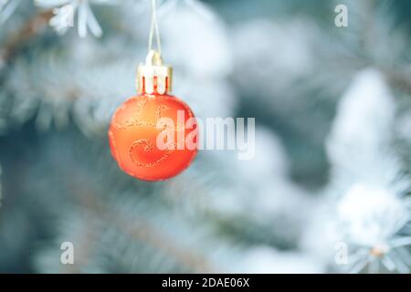 La palla rossa pende su un ramo di un albero di Natale. Foto per biglietti d'auguri. Umore di Natale. La neve bianca giace sui rami di un albero di Natale Foto Stock